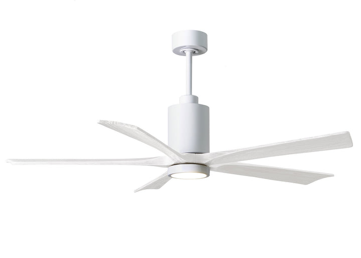 Matthews Fan CompanyPatricia 5 60" Indoor/Outdoor DC LED Ceiling Fan with Remote and Wall Control