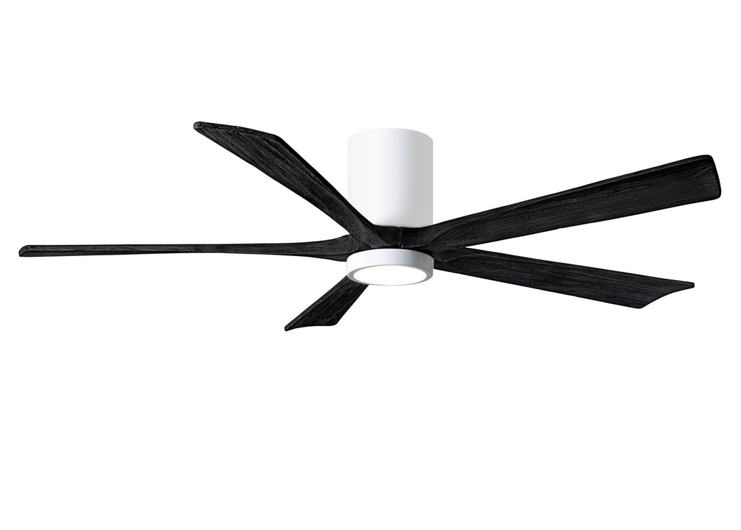 Matthews Fan Company Irene 60" Indoor/Outdoor DC Ceiling Fan with Remote and Wall Control