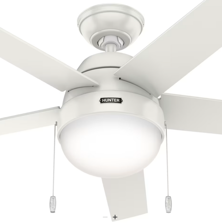 Hunter Fan Anslee Pull Chain Ceiling Fan with 18W LED