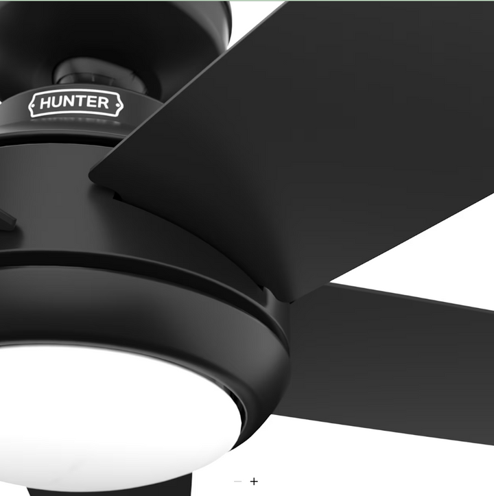 Hunter Fan Zayden 52" Indoor Ceiling Fan with LED and Remote