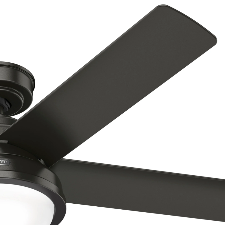 Hunter Fan Seawall 52" Outdoor Ceiling Fan with 20W LED with Wall Control