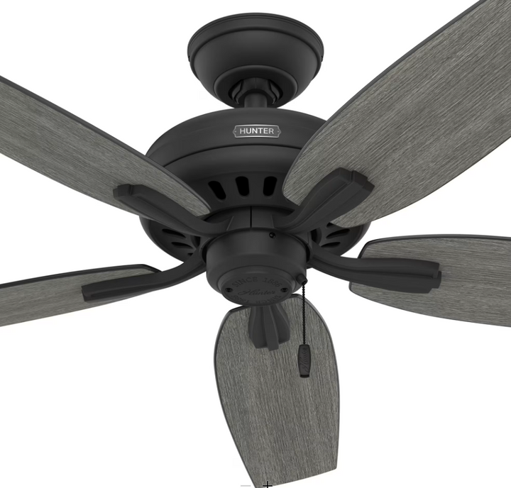 Hunter Fan Newsome 52" Pull Chain Ceiling Fan