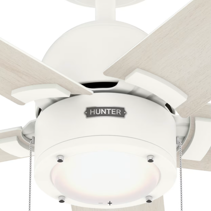 Hunter Fan Erling Pull Chain Ceiling Fan with 18W LED