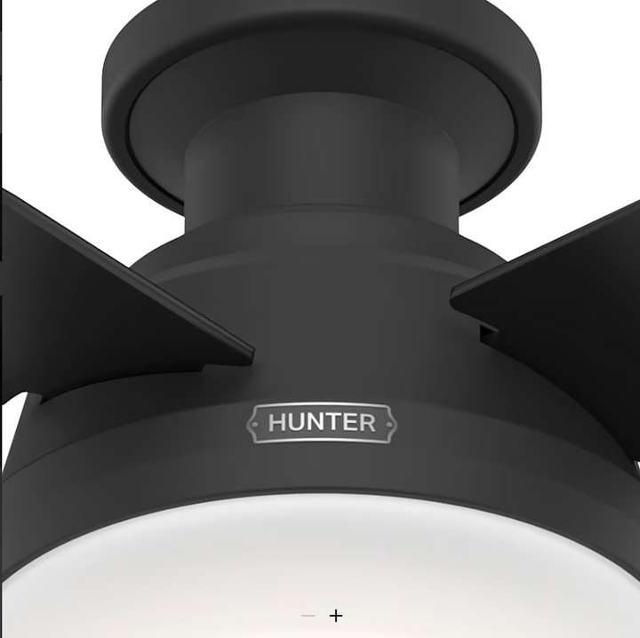 Hunter Fan Dempsey 44" Flushmount Ceiling Fan with 19W LED and Remote