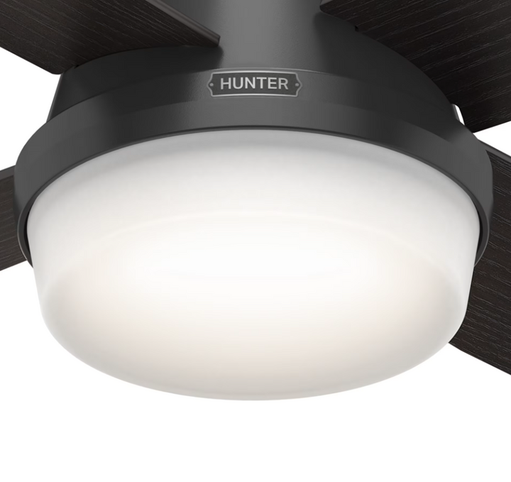 Hunter Fan Dempsey 52" Indoor/Outdoor Ceiling Fan with 18W LED and Remote