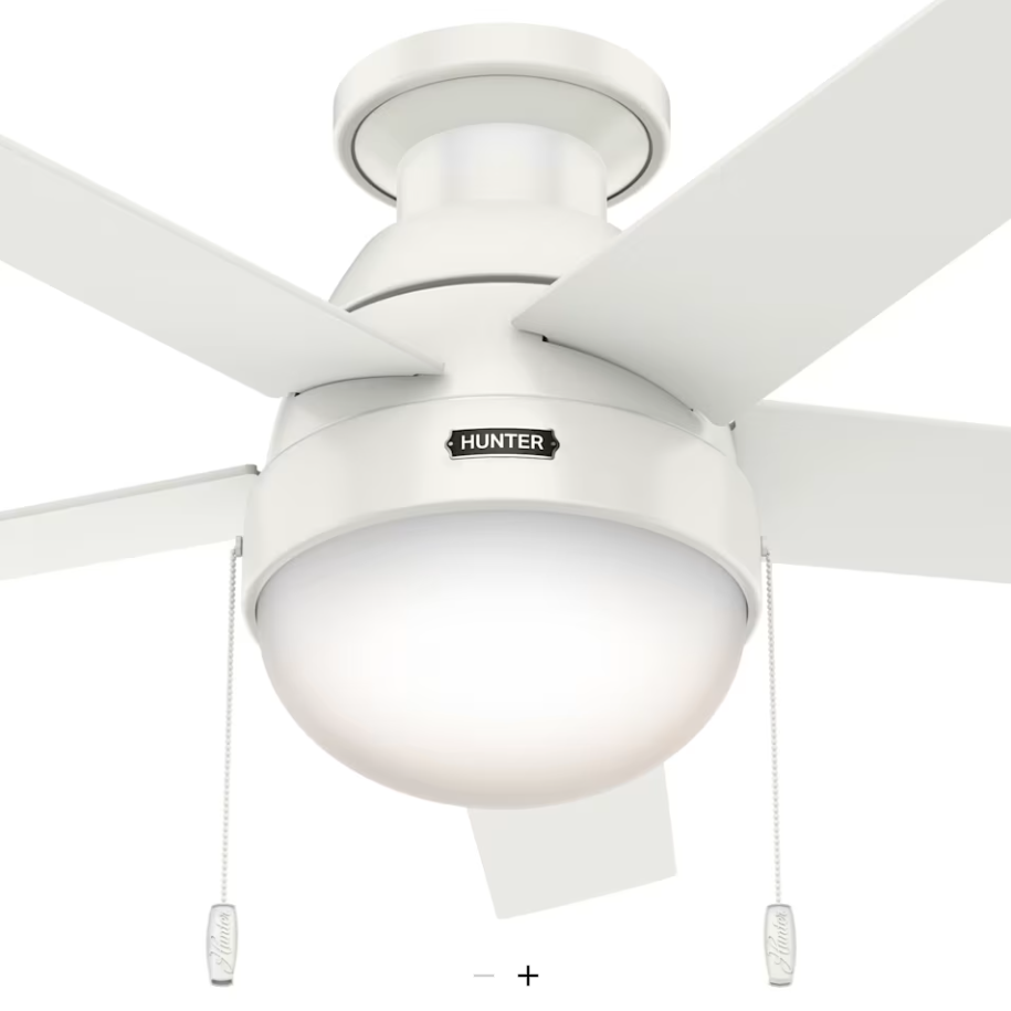 Hunter Fan Anslee 46" Flushmount Pull Chain Ceiling Fan with 18W LED