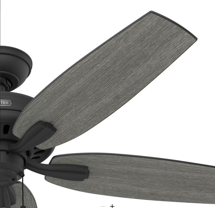 Hunter Fan Newsome 52" Pull Chain Ceiling Fan