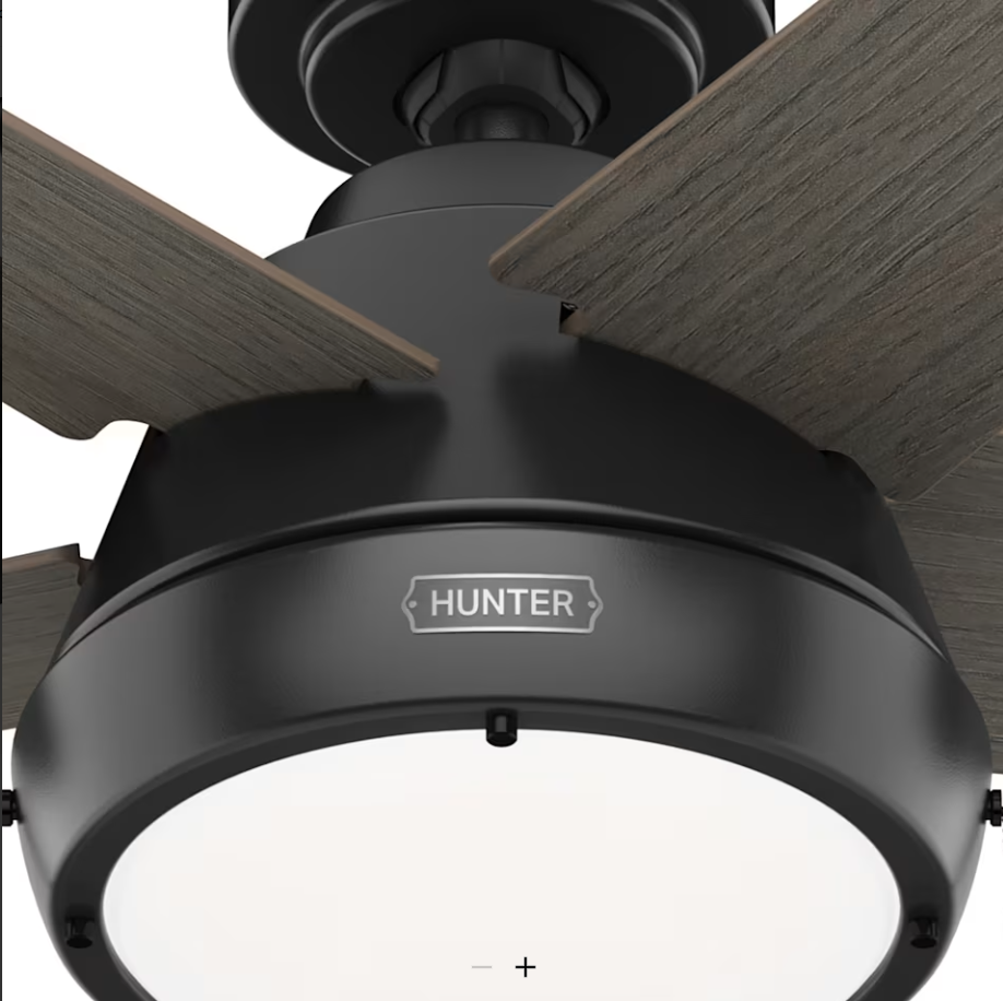 Hunter Fan Burroughs 44" Pull Chain Ceiling Fan with 18W LED