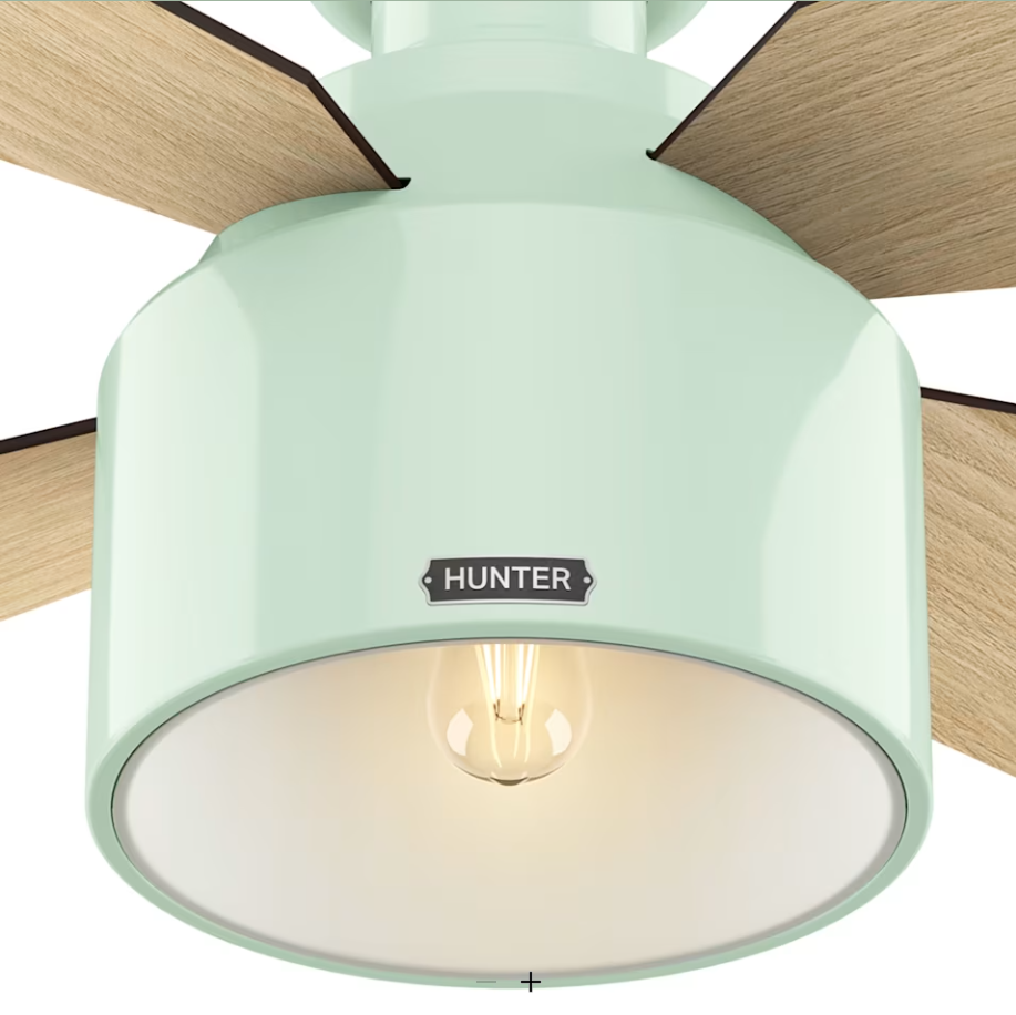 Hunter Fan Cranbrook 52" Mid Century Modern Flushmount Ceiling Fan with 5W LED and Remote