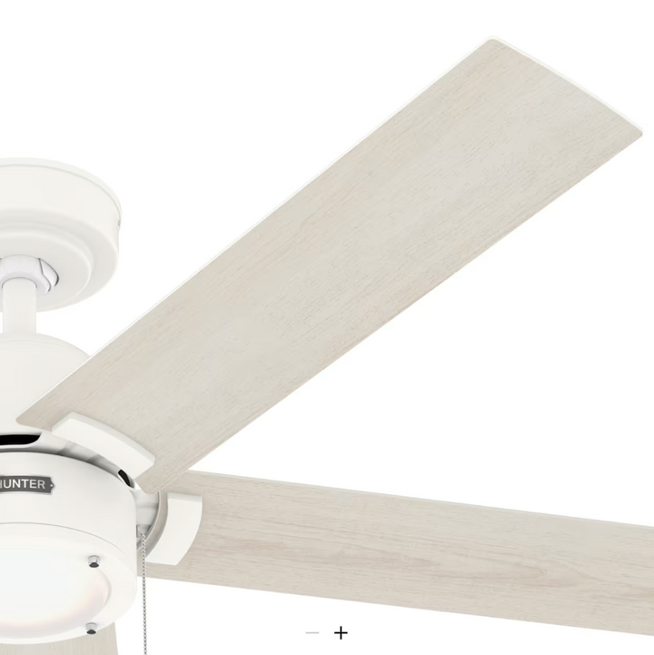 Hunter Fan Erling Pull Chain Ceiling Fan with 18W LED