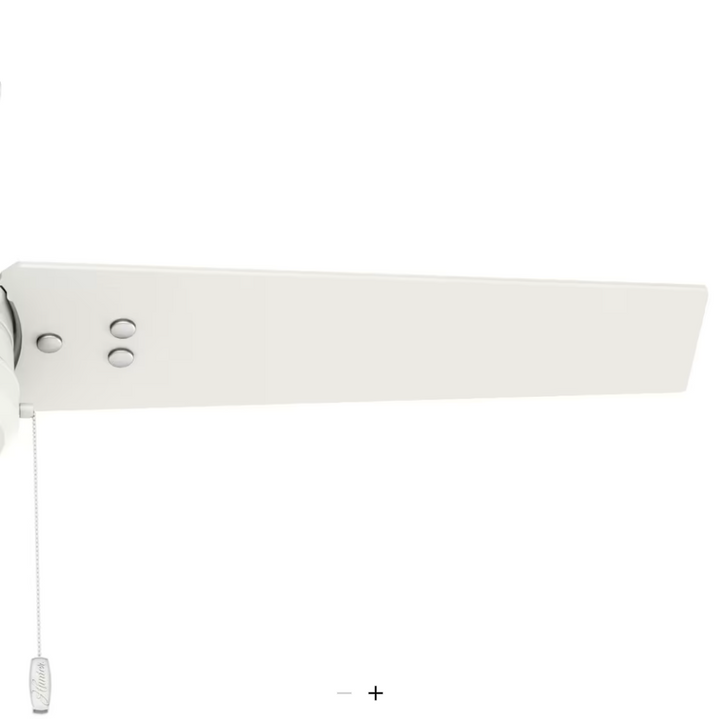 Hunter Fan Cassius Indoor/Outdoor Pull Chain Ceiling Fan