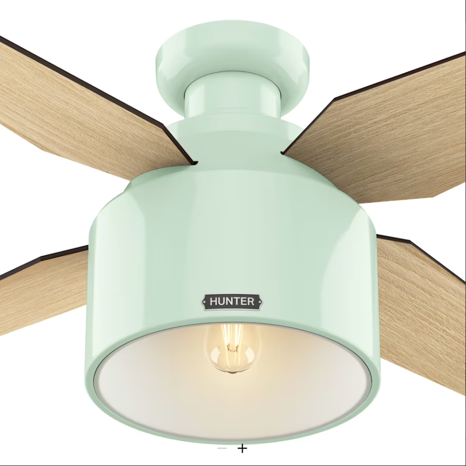 Hunter Fan Cranbrook 52" Mid Century Modern Flushmount Ceiling Fan with 5W LED and Remote