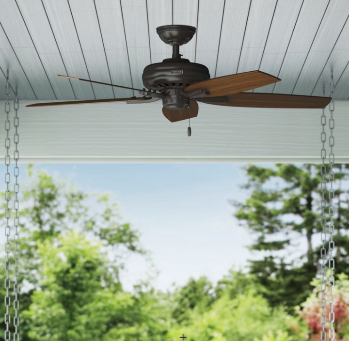 Hunter Fan Newsome 52" Indoor/Outdoor Pull Chain Ceiling Fan