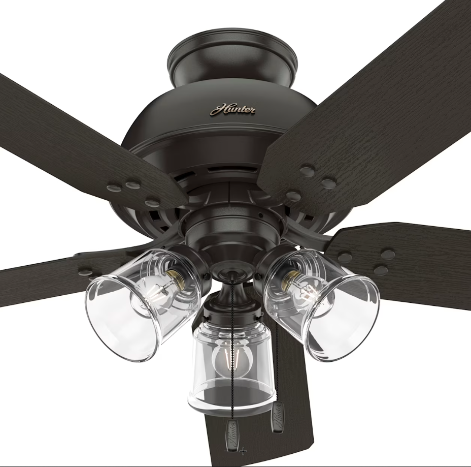 Hunter Fan River Ridge 52" Indoor/Outdoor Pull Chain Ceiling Fan with 14W