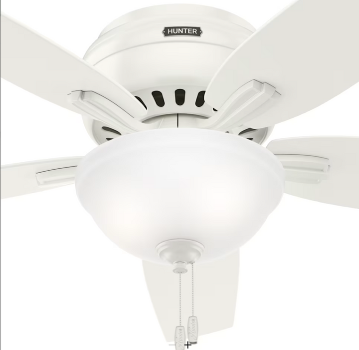 Hunter Fan Newsome Flushmount Pull Chain Ceiling Fan with 18W LED