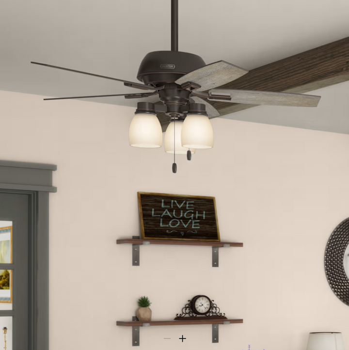 Hunter Fan Donegan Indoor Pull Chain Ceiling Fan with 27W LED