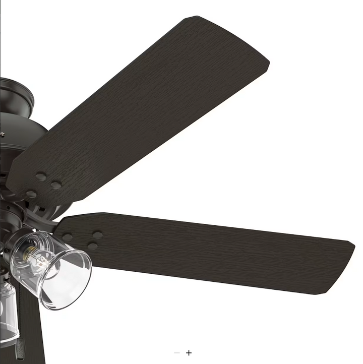 Hunter Fan River Ridge 52" Indoor/Outdoor Pull Chain Ceiling Fan with 14W