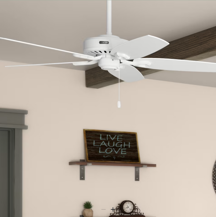 Hunter Fan Builder Elite 52" Pull Chain Ceiling Fan