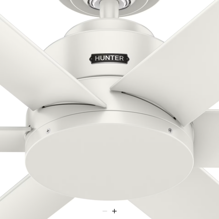 Hunter Fan Kennicott Indoor/Outdoor Ceiling Fan with Wall Control