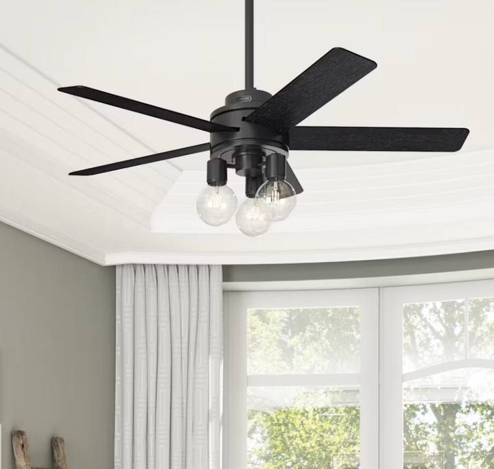 Hunter Fan Hardwick Ceiling Fan with 18W LED and Remote