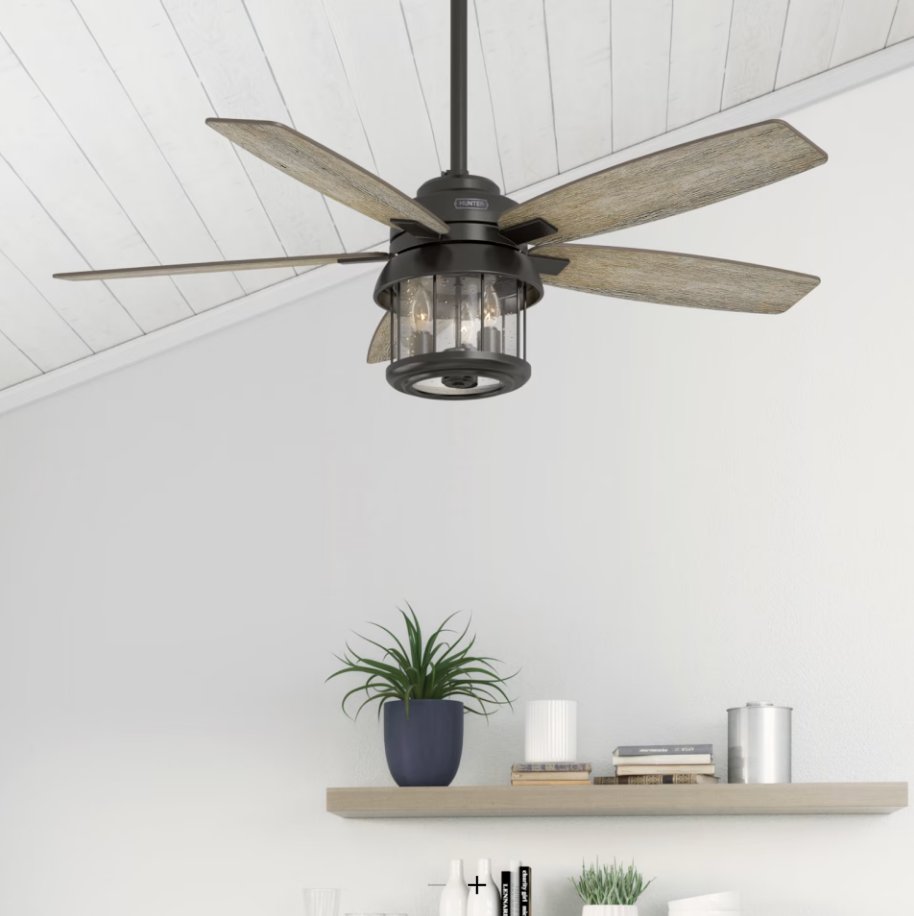 Hunter Fan Coral Bay 52" Indoor/Outdoor Ceiling Fan with 10W LED and Remote