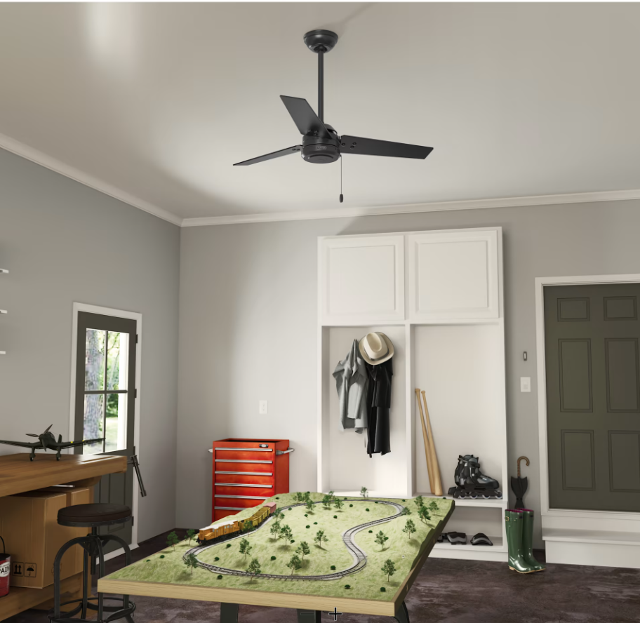 Hunter Fan Cassius Indoor/Outdoor Pull Chain Ceiling Fan