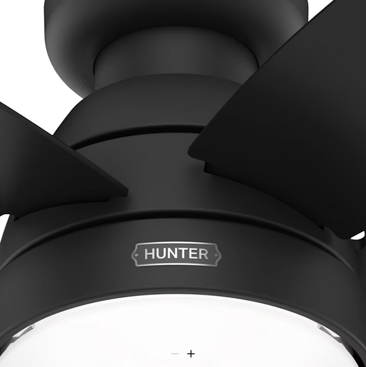 Hunter Fan Lilliana Flushmount Pull Chain Ceiling Fan with 14W LED