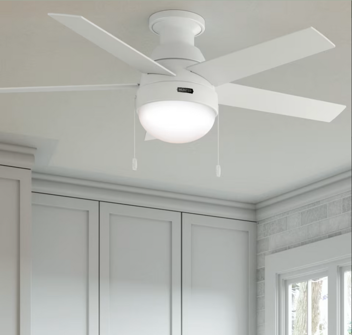 Hunter Fan Anslee 46" Flushmount Pull Chain Ceiling Fan with 18W LED