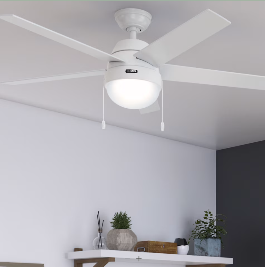 Hunter Fan Anslee Pull Chain Ceiling Fan with 18W LED