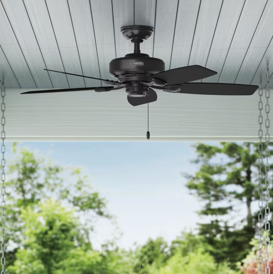 Hunter Fan Sea Wind 48" Outdoor Pull Chain Ceiling Fan