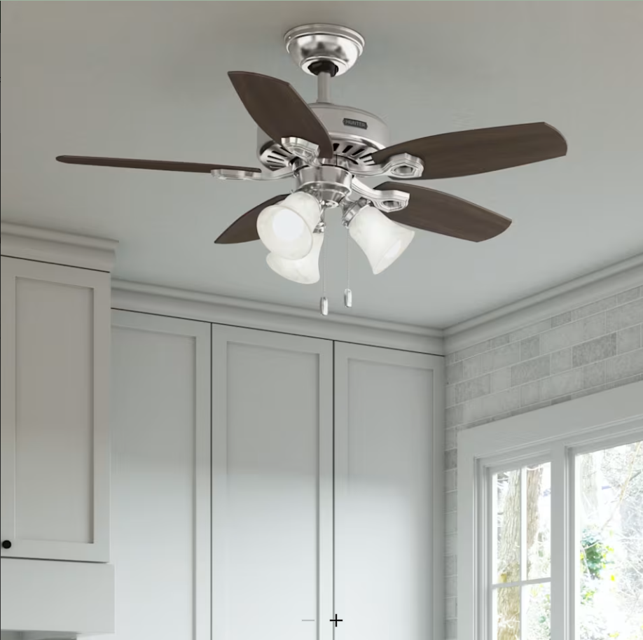 Hunter Fan Builder 42" Pull Chain Ceiling Fan 21W LED