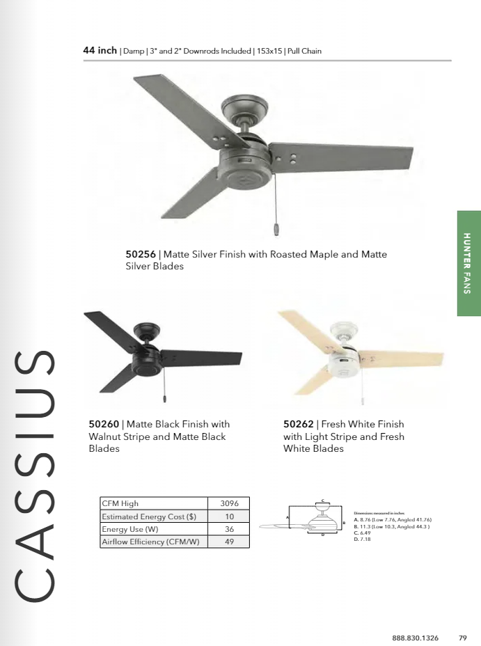 Hunter Fan Cassius Indoor/Outdoor Pull Chain Ceiling Fan