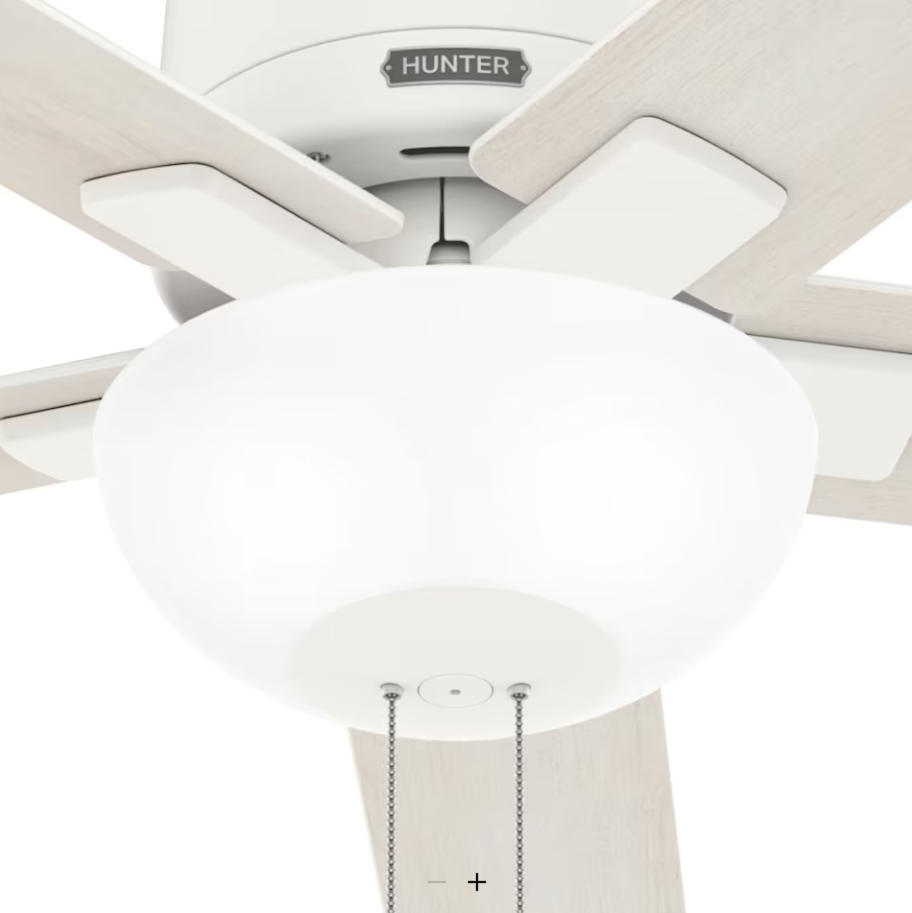 Hunter Fan Fitzgerald 44" Flushmount Pull Chain Ceiling Fan with 20W LED