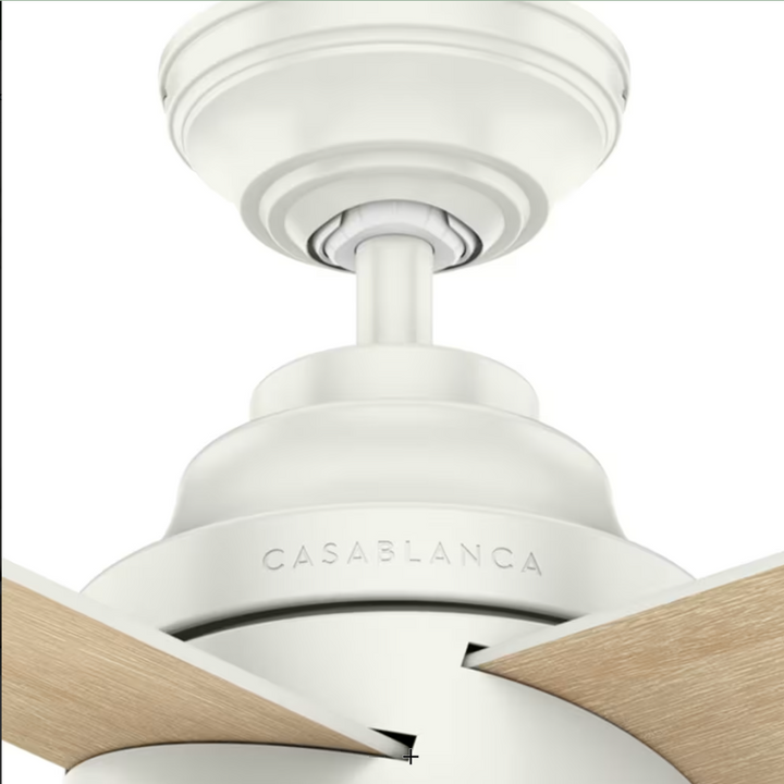 Casablanca Daphne 54" Indoor Ceiling Fan with 16W LED and Wall Control in Fresh White