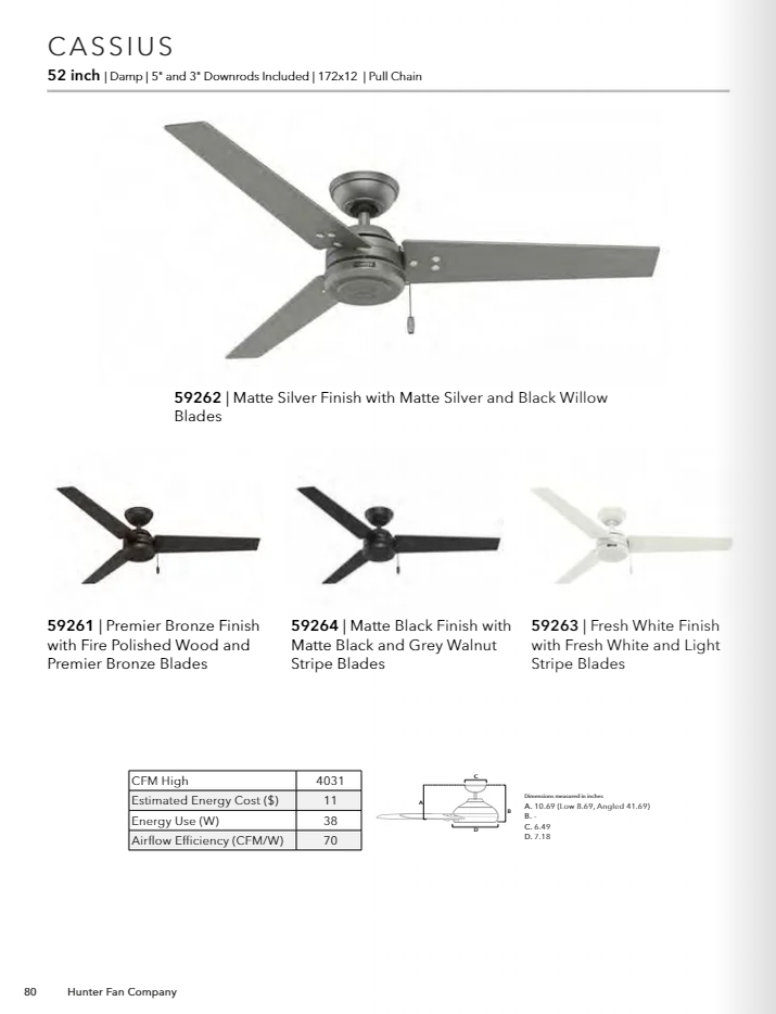 Hunter Fan Cassius Indoor/Outdoor Pull Chain Ceiling Fan