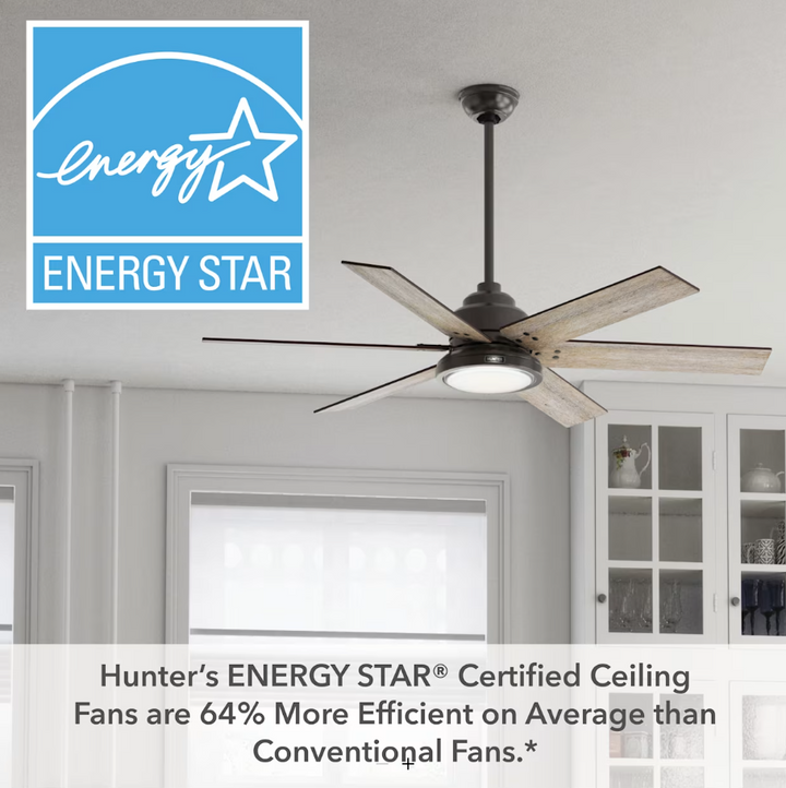 Hunter Fan Warrant 60" Indoor DC Ceiling Fan with LED and Wall Control