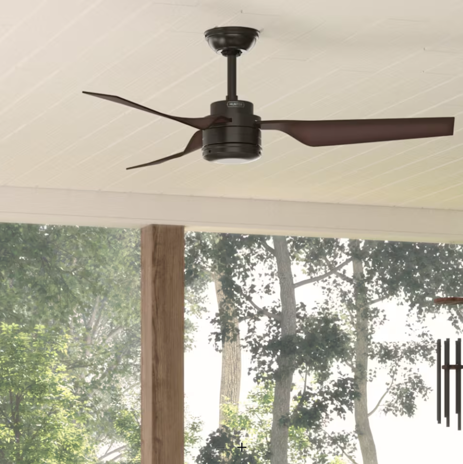 Hunter Fan Cabo Frio 52" Indoor/Outdoor Ceiling Fan with Wall Control