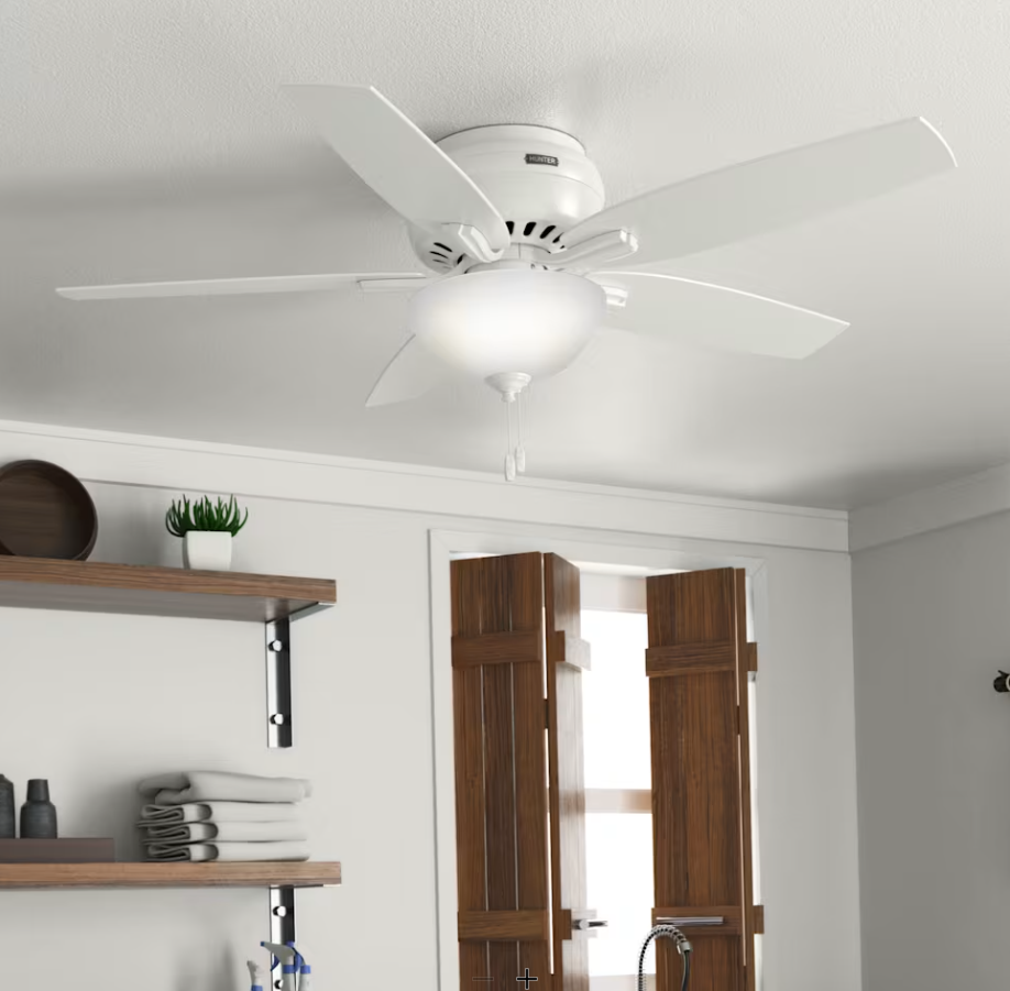 Hunter Fan Newsome Flushmount Pull Chain Ceiling Fan with 18W LED