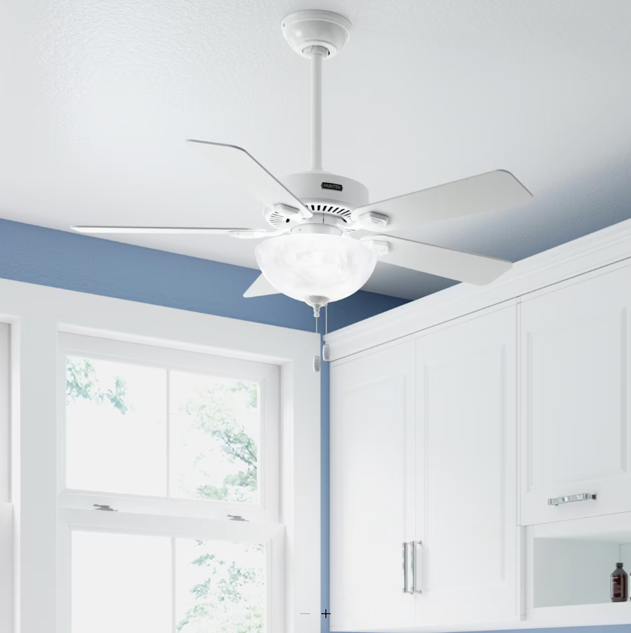 Hunter Fan Swanson 44" Indoor Pull Chain Ceiling Fan with 19.5W LED Bowl