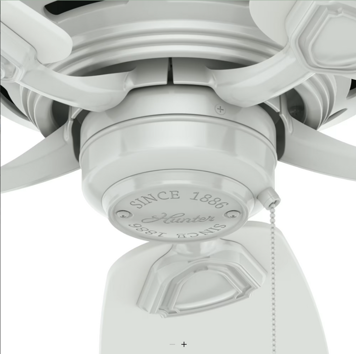 Hunter Fan Sea Wind 48" Outdoor Pull Chain Ceiling Fan