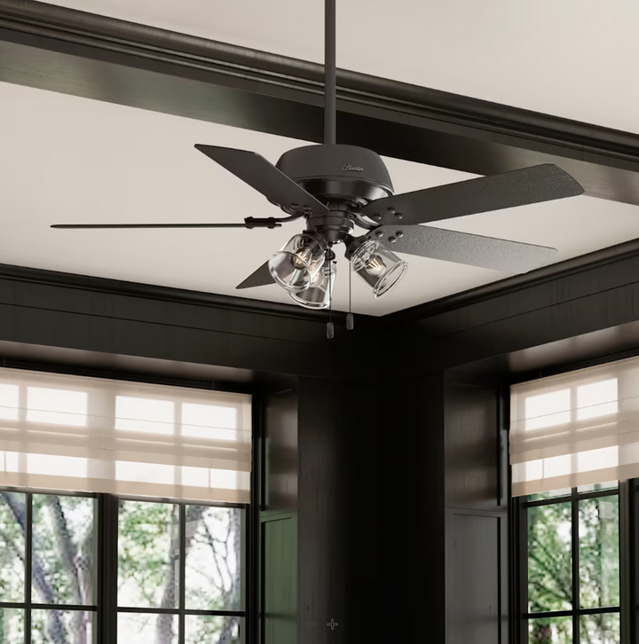 Hunter Fan River Ridge 52" Indoor/Outdoor Pull Chain Ceiling Fan with 14W