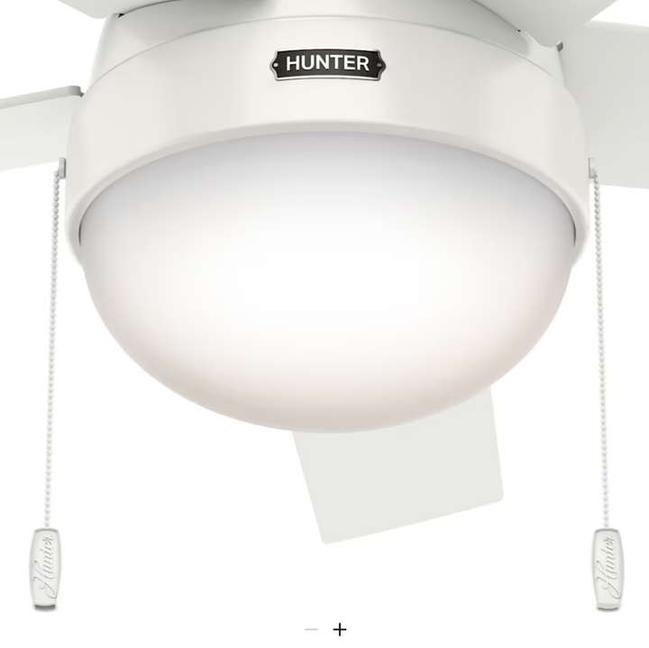 Hunter Fan Anslee 46" Flushmount Pull Chain Ceiling Fan with 18W LED