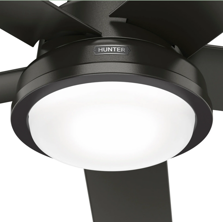 Hunter Fan Seawall 52" Outdoor Ceiling Fan with 20W LED with Wall Control