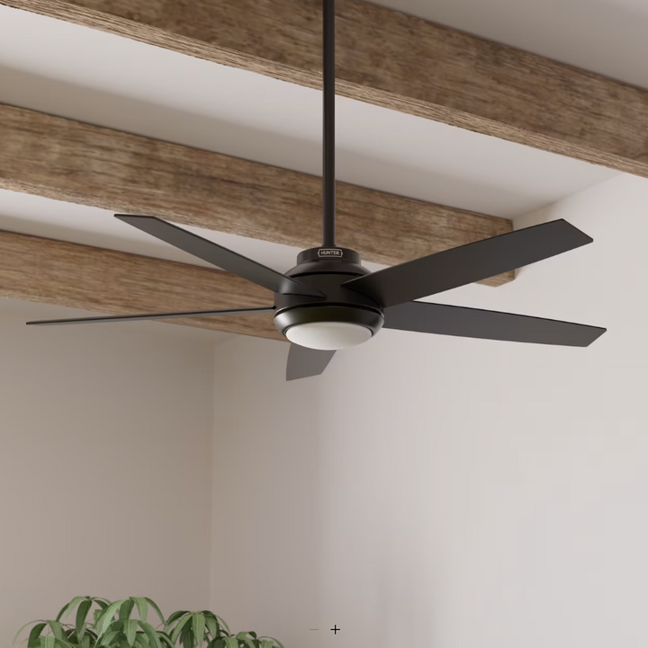 Hunter Fan Zayden 52" Indoor Ceiling Fan with LED and Remote