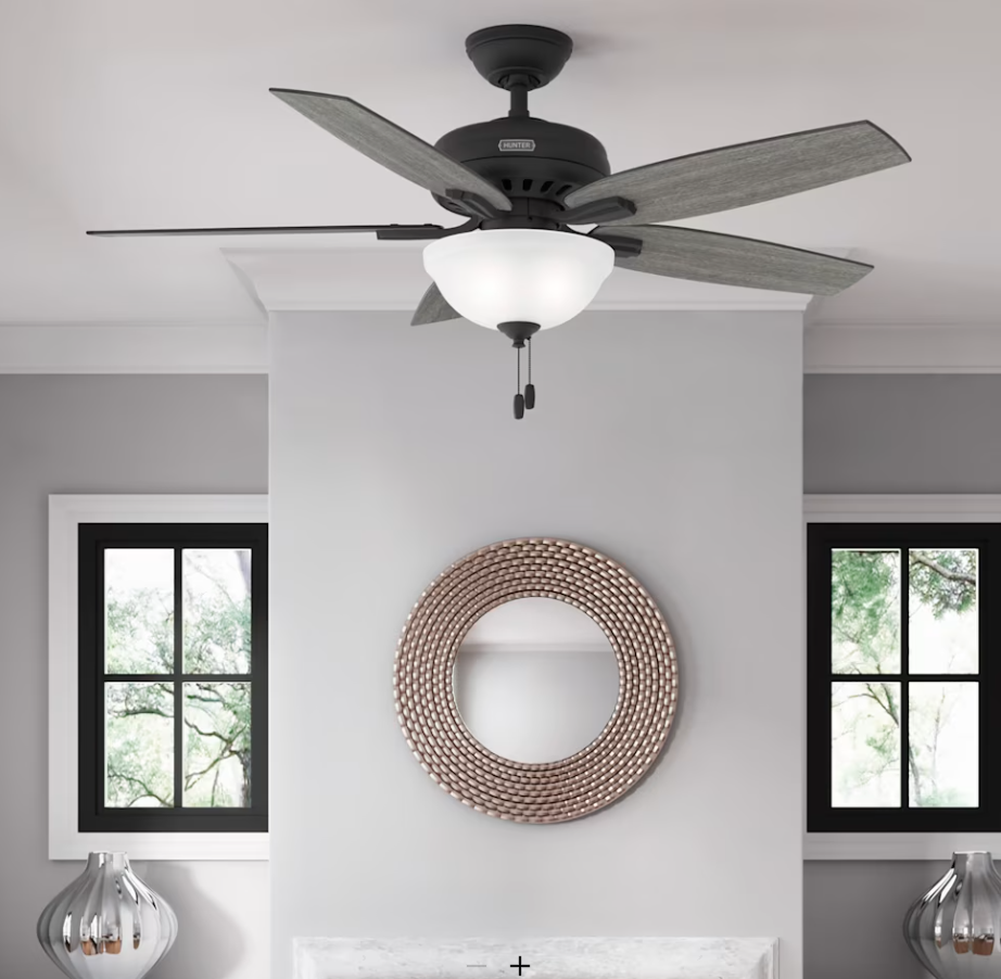 Hunter Fan Newsome 52" Indoor Pull Chain Ceiling Fan with 18W LED