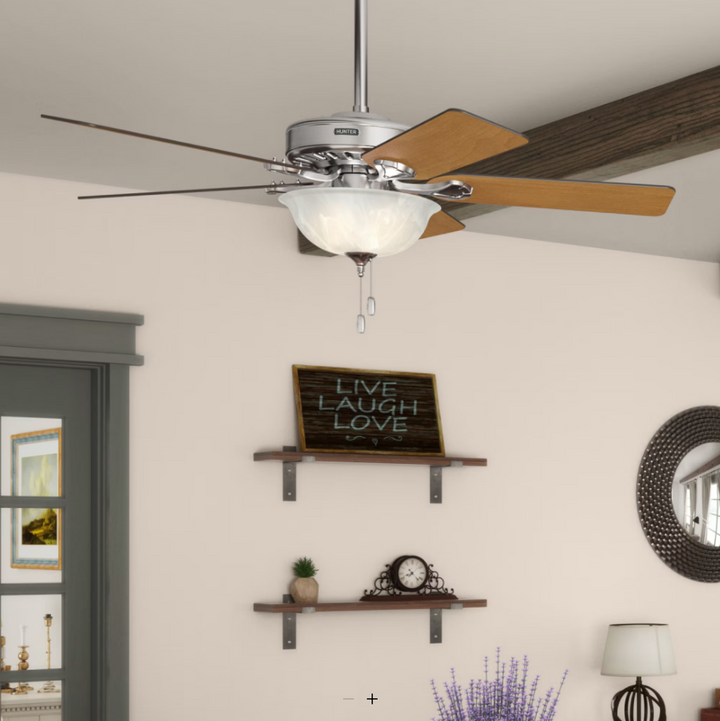 Hunter Fan Pro's Best 52" Pull Chain Ceiling Fan with 18W LED