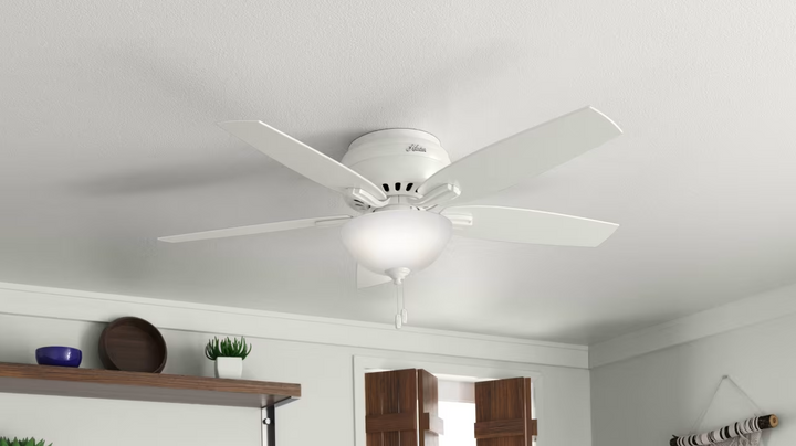 Hunter Fan Newsome Flushmount Pull Chain Ceiling Fan with 18W LED