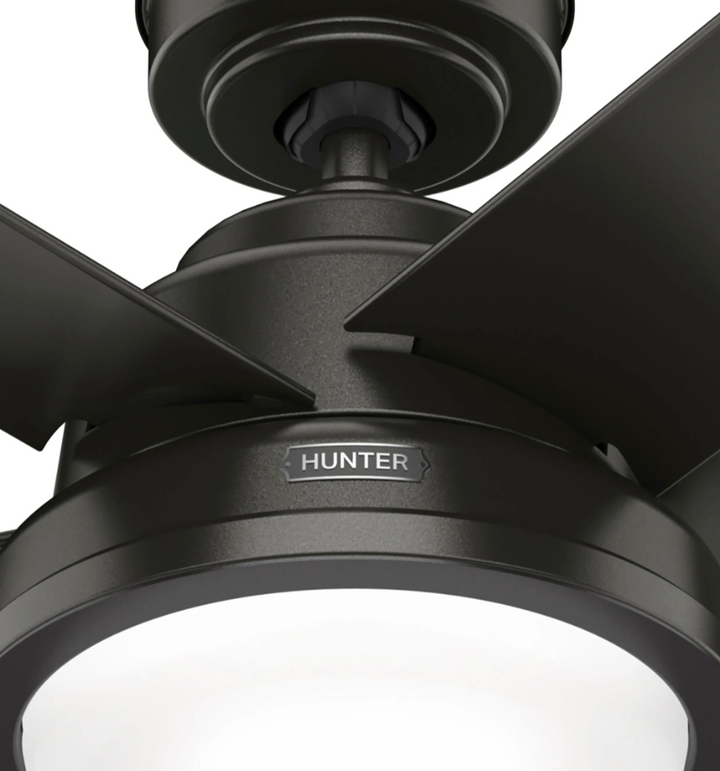 Hunter Fan Seawall 52" Outdoor Ceiling Fan with 20W LED with Wall Control