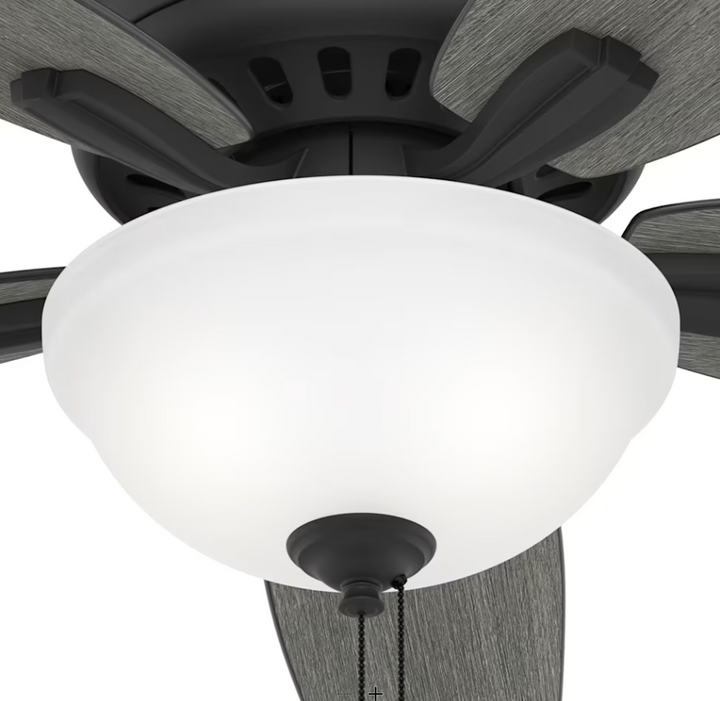 Hunter Fan Newsome 52" Indoor Pull Chain Ceiling Fan with 18W LED