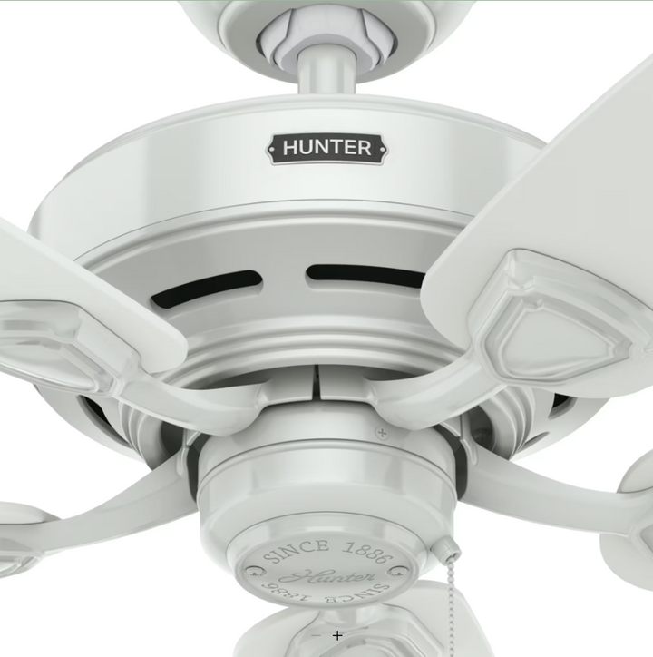 Hunter Fan Sea Wind 48" Outdoor Pull Chain Ceiling Fan